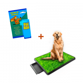 Baño portátil y pipi aquí para tu mascota 50 x 62.5 cm - Pet Potty